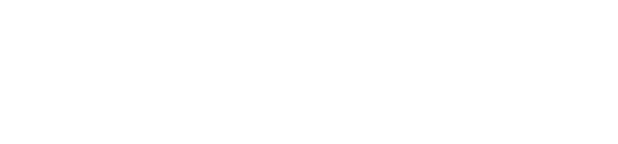 steuerfox-logo-2